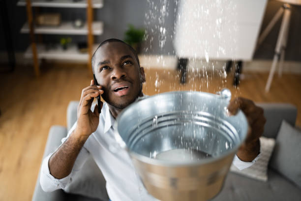 Best Flooded house restoration  in Lincolnton, GA